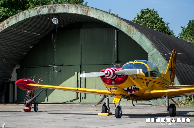 A Belgian Air Component's Savoia-Marchetti SF260 shot during the THPU Spottersday in 2016.