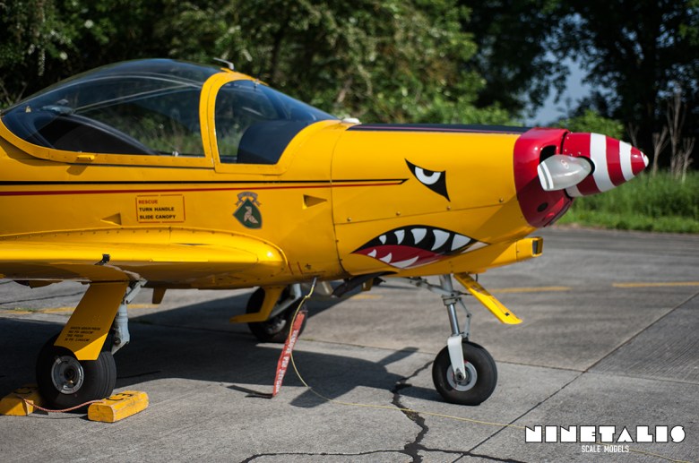 A Belgian Air Component's Savoia-Marchetti SF260 shot during the THPU Spottersday in 2016.