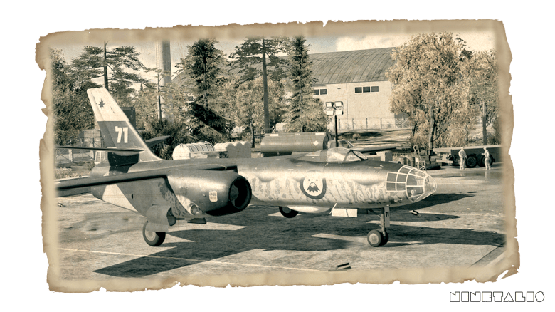 Ninetalis-WT-IL28-fjallslond-photograph